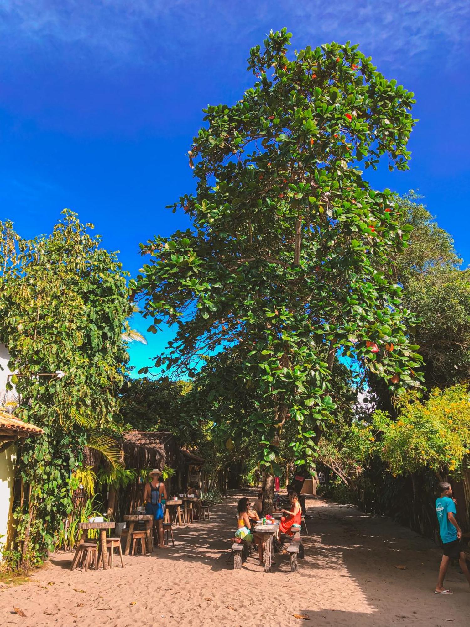 Pousada Villa Esperanca - Xando - Caraiva Ba Exteriör bild
