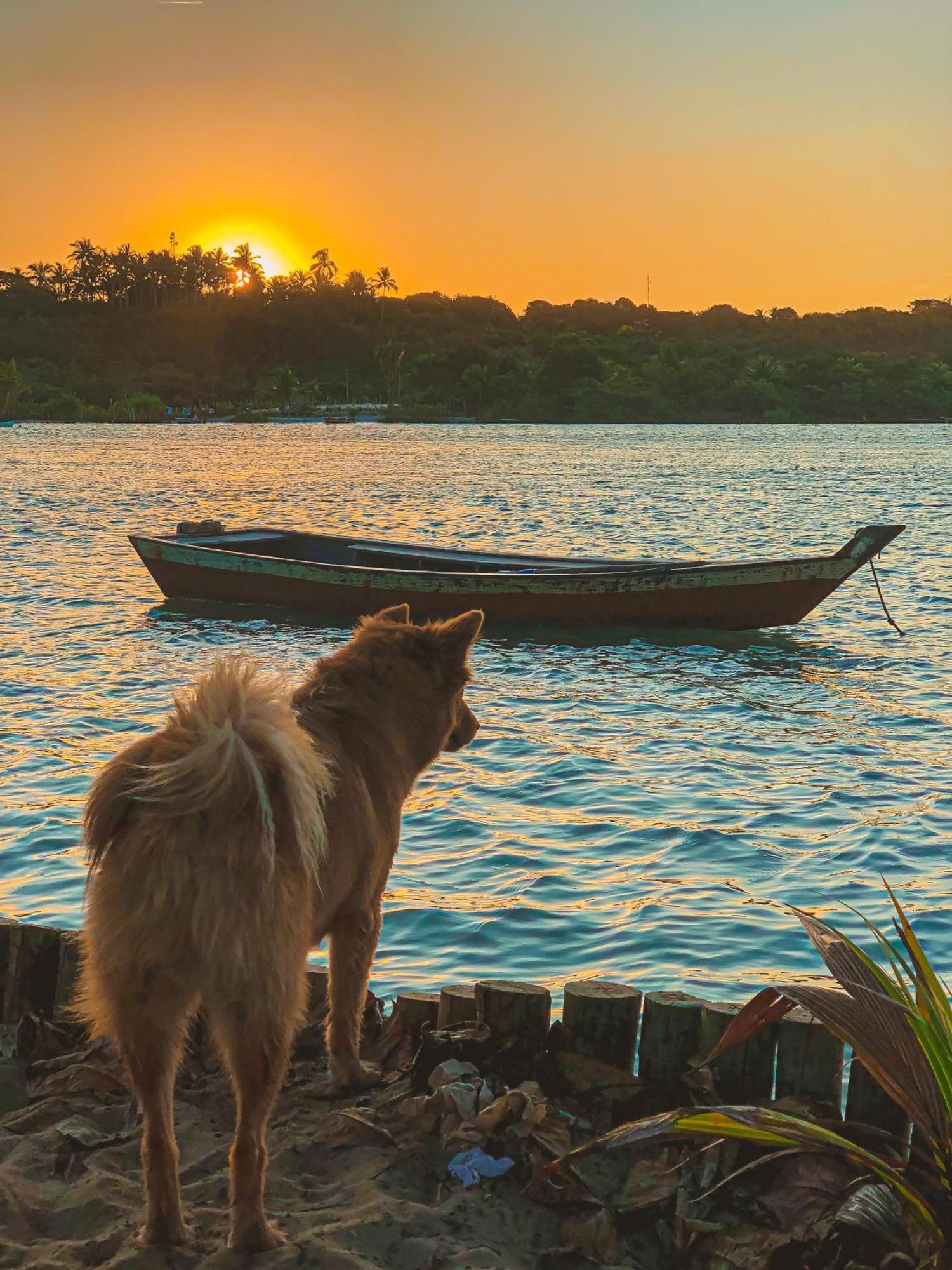 Pousada Villa Esperanca - Xando - Caraiva Ba Exteriör bild